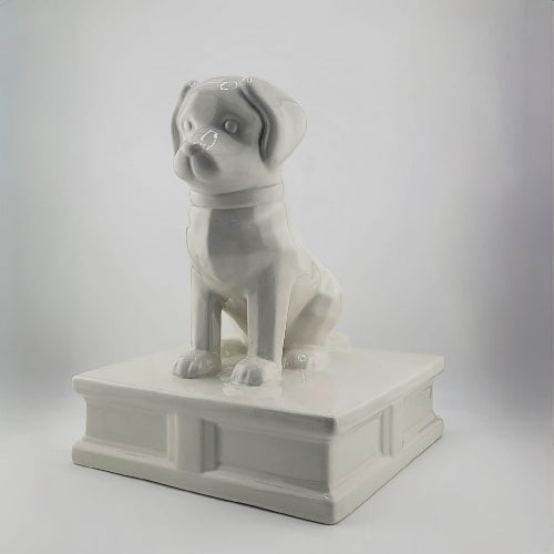 Beni Urna Homenaje Perrito