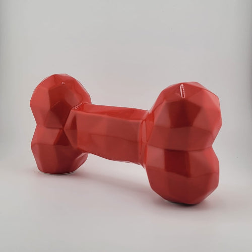 Boni Hueso Cenizas Perrito