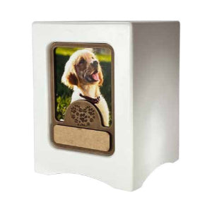 Urna Modelo Modelo Labrador - Precio Especial Contratando Cremación Privada