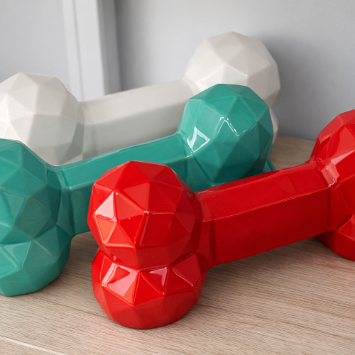 Boni Hueso Cenizas Perrito