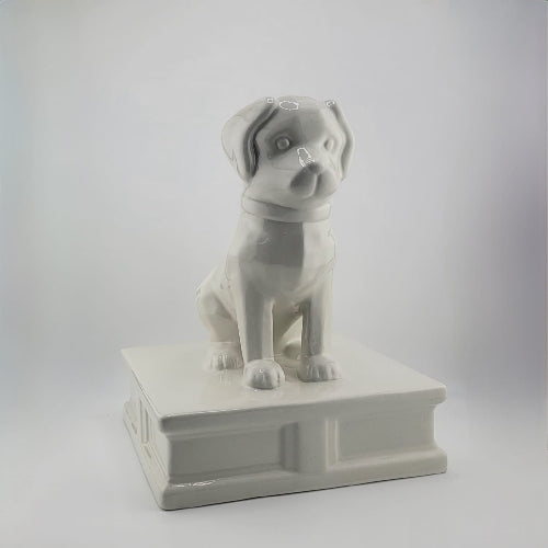 Beni Urna Homenaje Perrito